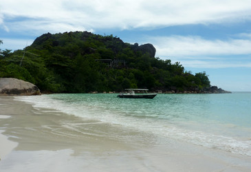 Similar image 1567654