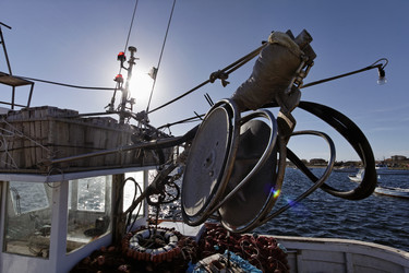 Similar image 1567675