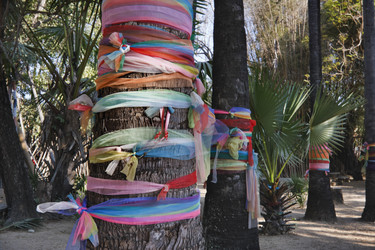 Similar image 1567766