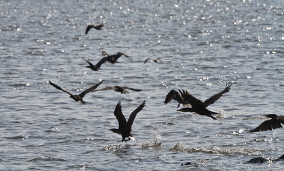 Similar image 1567774