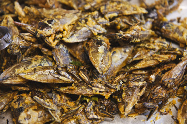 Similar image 1567776