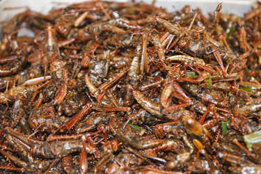 Similar image 1567779