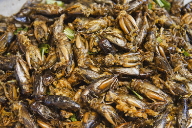 Similar image 1567786