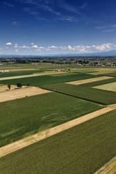 Similar image 1567787