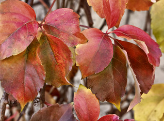 Similar image 1567789