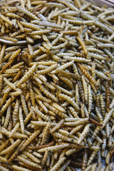 Similar image 1567790