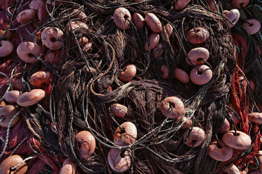 Similar image 1567810