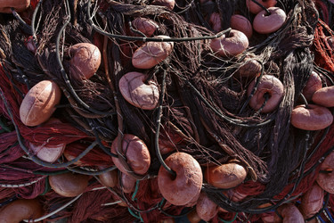 Similar image 1567813