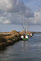 Similar image 1567833