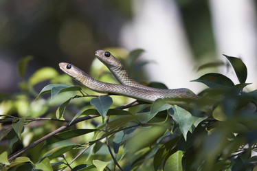 Similar image 1567918