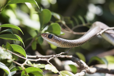 Similar image 1567921