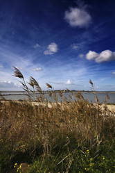 Similar image 1567922