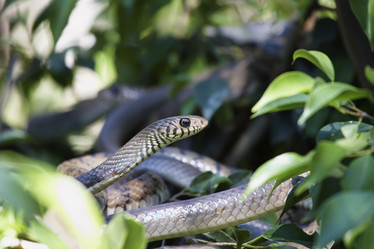 Similar image 1567923