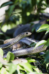 Similar image 1567924