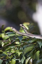 Similar image 1567925