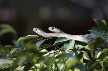 Similar image 1567926