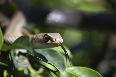 Similar image 1567937