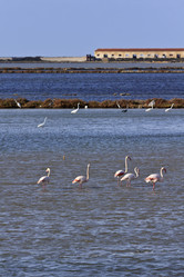 Similar image 1567938