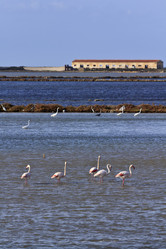 Similar image 1567940