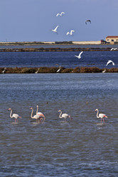 Similar image 1567945