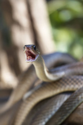 Similar image 1567947