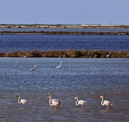 Similar image 1567954