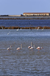 Similar image 1567955