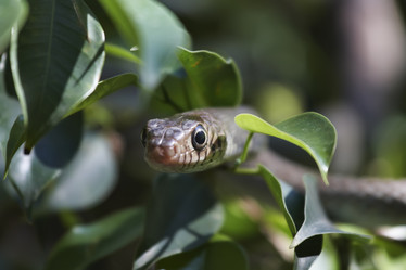 Similar image 1567959