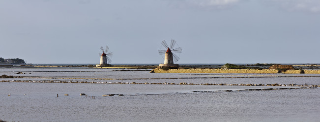 Similar image 1567961