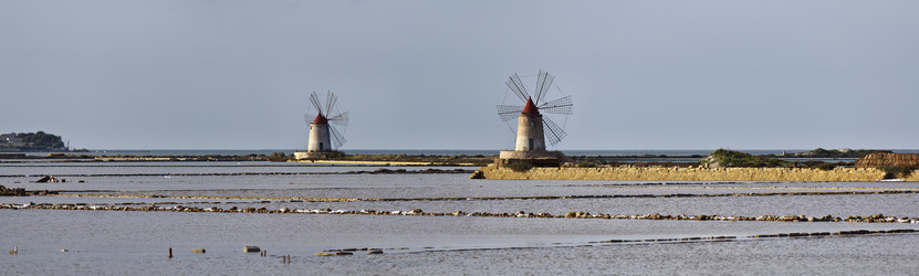 Similar image 1567965