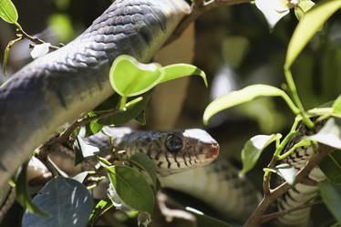 Similar image 1567964