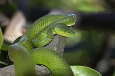 Similar image 1567968