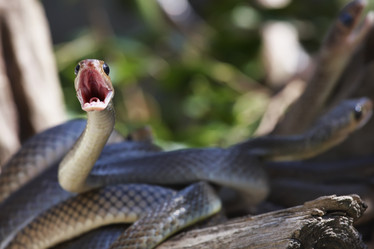 Similar image 1567972