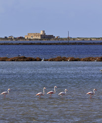 Similar image 1567973