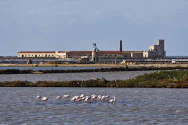 Similar image 1567982