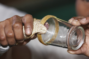 Similar image 1567991