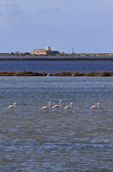 Similar image 1567995