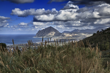 Similar image 1568001