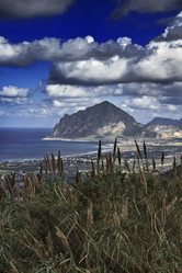 Similar image 1568002