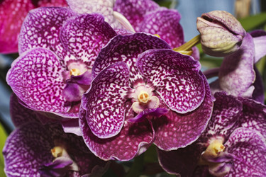 Similar image 1568003