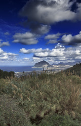 Similar image 1568004