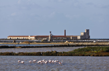 Similar image 1568007