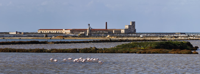 Similar image 1568008