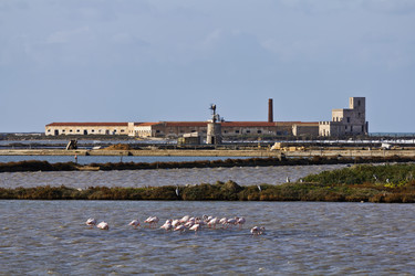 Similar image 1568009