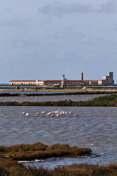 Similar image 1568010