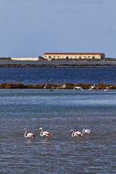 Similar image 1568011