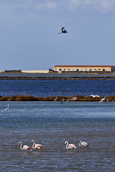 Similar image 1568012