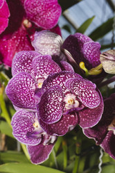 Similar image 1568015