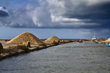 Similar image 1568020