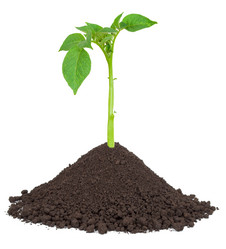 Similar image 1568070